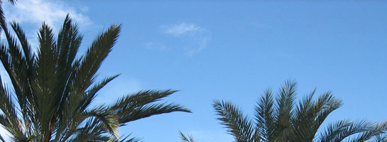 reachthesky_t.jpg